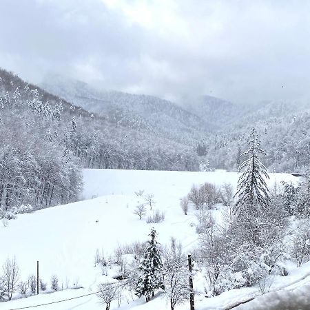 Nature View Apartment Braşov Extérieur photo