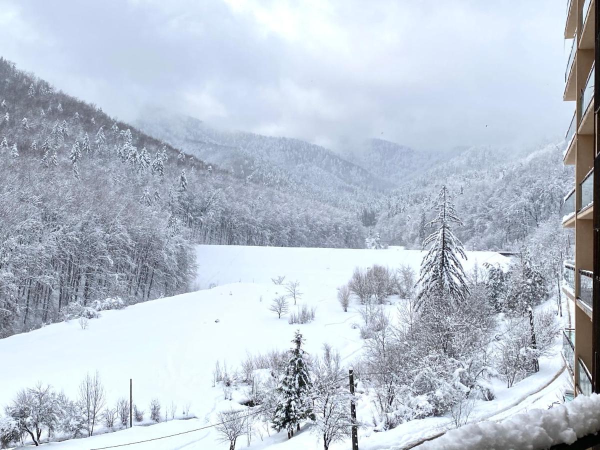 Nature View Apartment Braşov Extérieur photo