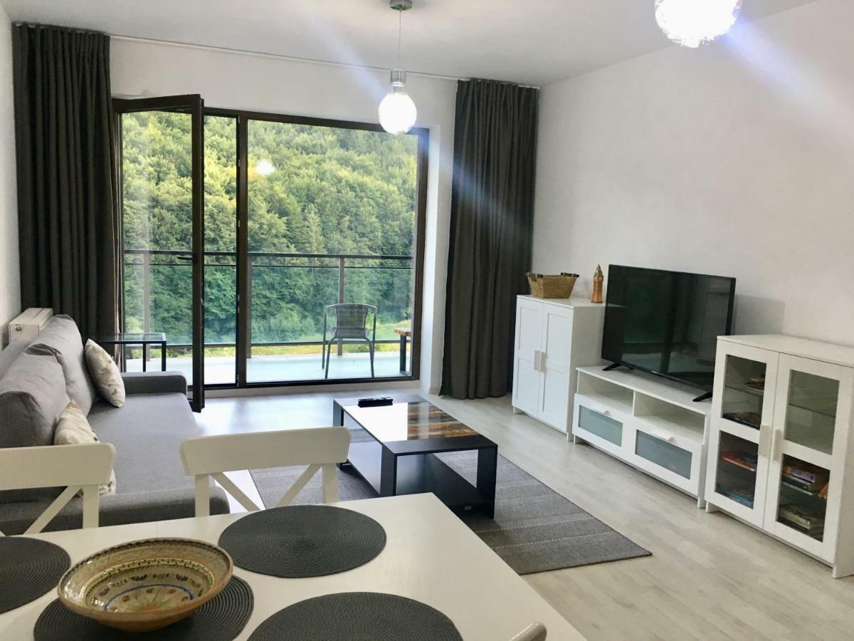 Nature View Apartment Braşov Extérieur photo