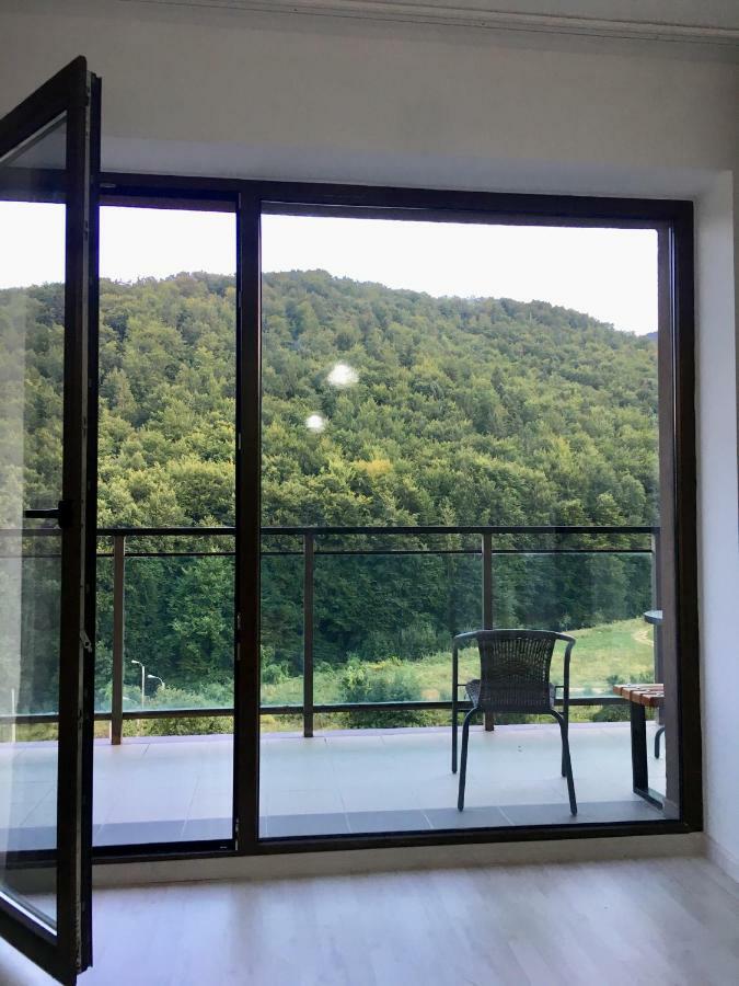 Nature View Apartment Braşov Extérieur photo