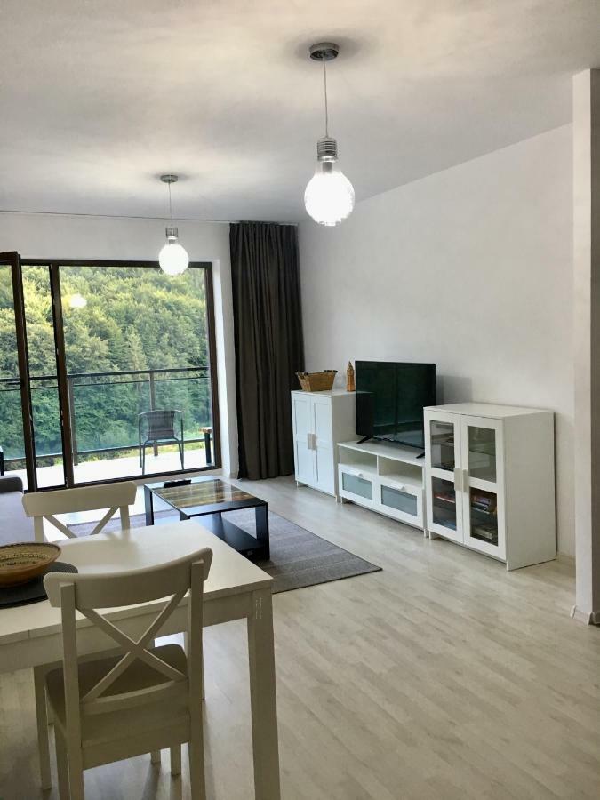 Nature View Apartment Braşov Extérieur photo