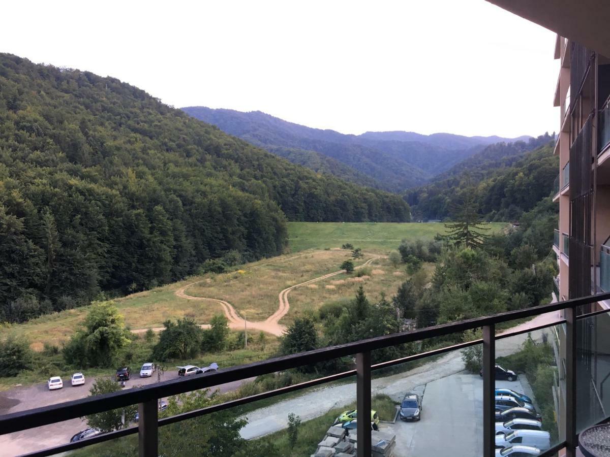 Nature View Apartment Braşov Extérieur photo