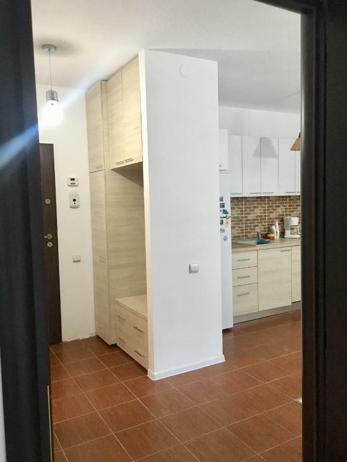 Nature View Apartment Braşov Extérieur photo